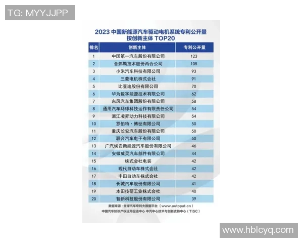 武汉极限运动队领跑最新极限运动节奏TOP10榜单引发热议