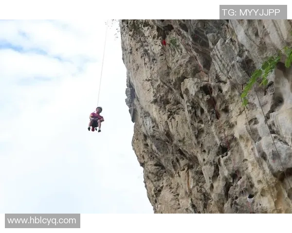 武汉攀岩队的精神探索与挑战之旅：攀岩巨献的背后故事